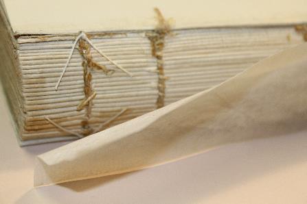 File:Consolidatingspine-haun,dyal.jpg