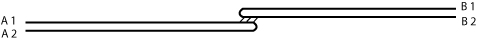 Figure 33: Preparing the endpaper by tipping two plain folios together.
