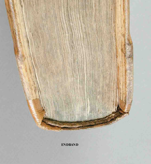 File:Germanendblg.jpg