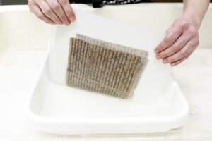 Washing manuscript written in iron gall ink