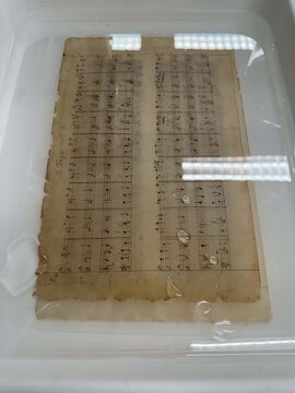 Iron gall ink manuscript in a calcium phytate bath.