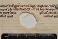 Scribes wrote around this hole in a folio margin.