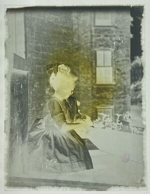 Glass plate negative with discoloration in center.
