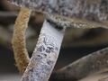 Thumbnail for version as of 02:36, 16 February 2013