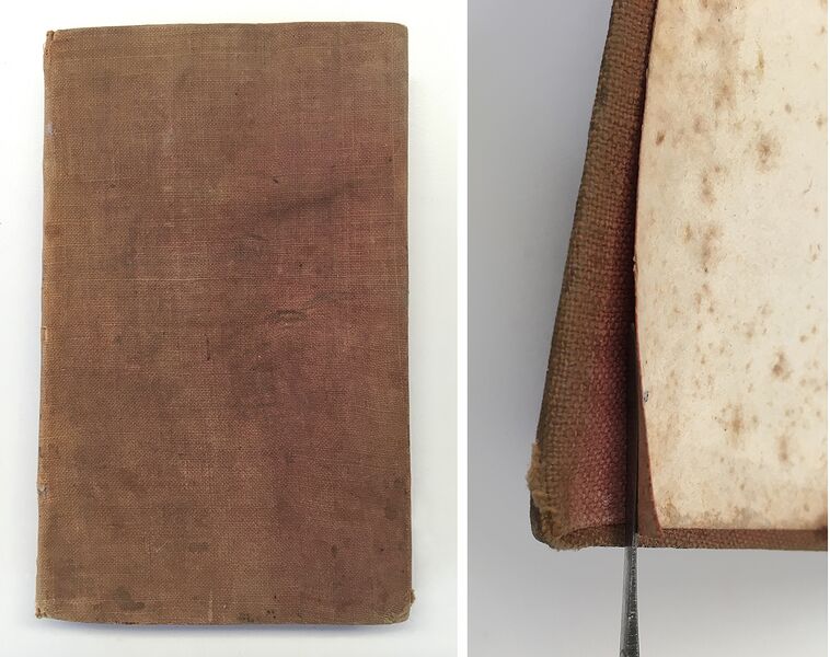 File:Early bookcloth.jpg