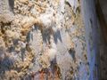 Thumbnail for version as of 20:18, 23 March 2014
