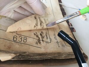 A gloved hand holds a small brush and a fine vacuum attachment over a large patch of mold on an open book page.