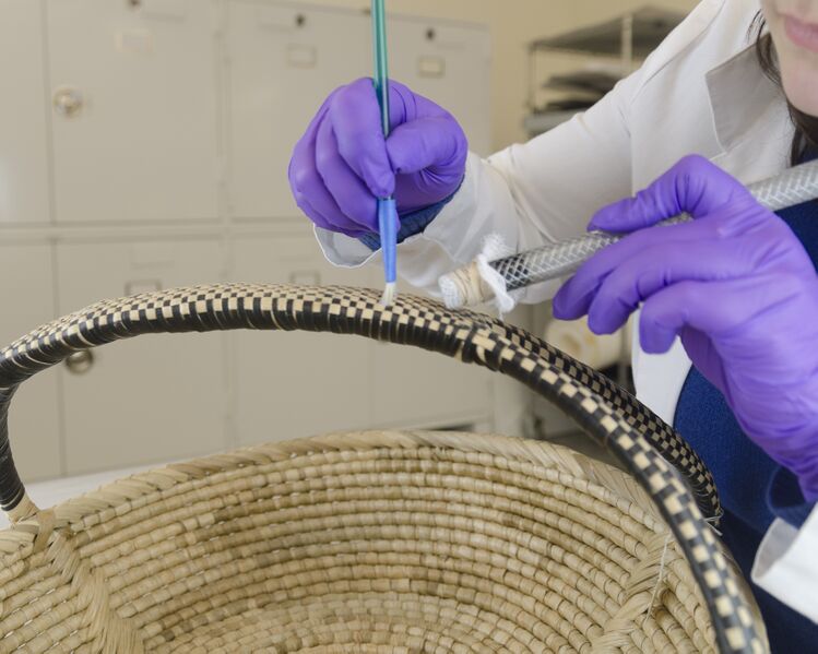 File:Fig7 basket cleaning detail.jpg