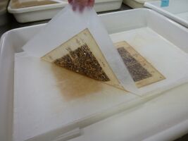Washing a document written with iron gall ink on Tek-Wipe