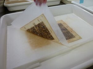 IGI document supported with Tek-Wipe during washing (Edwards 2014)