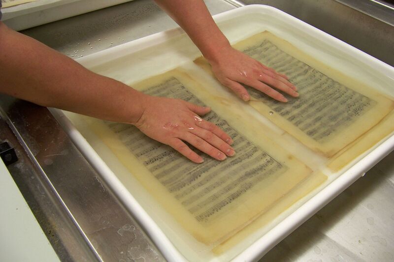 File:Intern washing Evan 2011abc.jpg