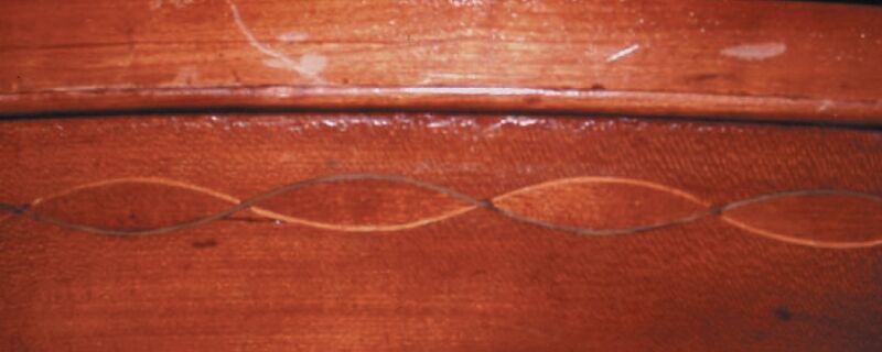 File:Wilkinson 03 baleen5 inlay.jpg
