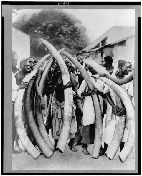File:Ivories-dar-es-salaam.jpg