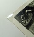 Mount using polyester corners