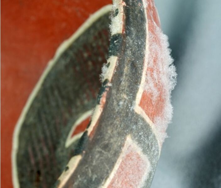 File:Earthenware-ceramic-efflorescence-case-pollutants-salt-Hatchfield-2.jpeg