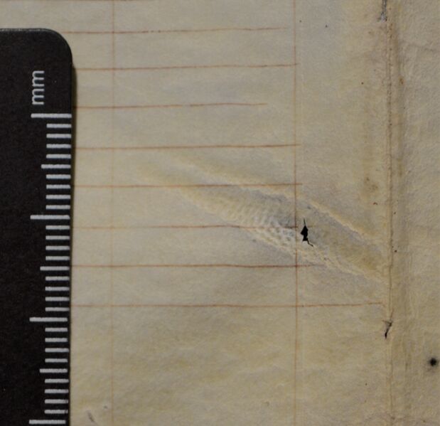 File:Parchment scar.jpg