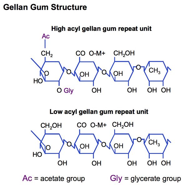 File:Gellan gum monomer structures.jpg