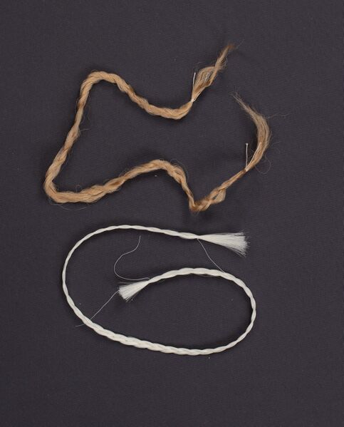 File:Hair silk.jpg