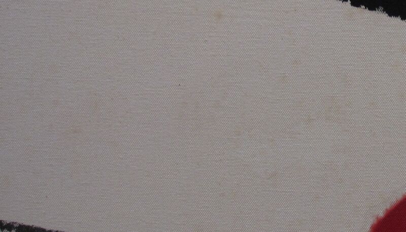 File:Mold spots on canvas 2009.jpg