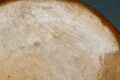 Thumbnail for version as of 16:13, 25 March 2014