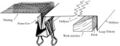 Thumbnail for version as of 14:17, 26 September 2009