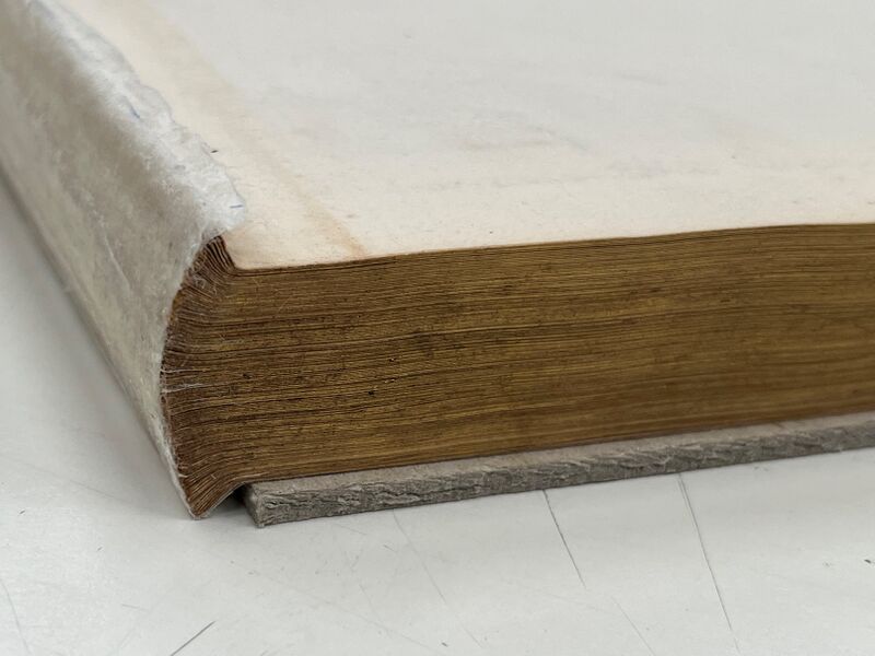 File:CaoutchoucBindingDT04AdhesiveOnSpine.jpg