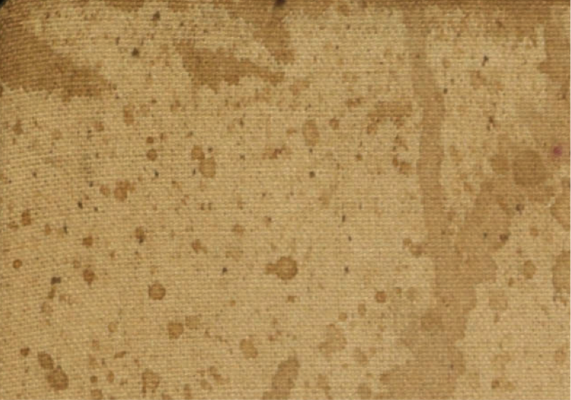 File:Canvas Staining.png