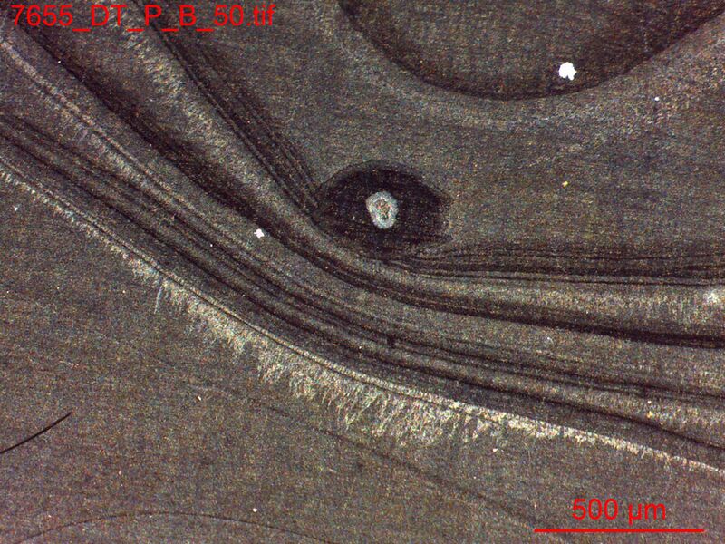 File:7655 DT P B 50.jpg