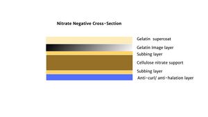 Diagram of nitrate negative cross section
