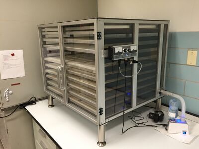 Humidification chamber for humidifying multiple documents