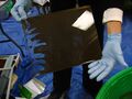 Dry plate negative after water incident with emulsion loss.