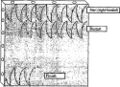 Thumbnail for version as of 07:18, 26 July 2009