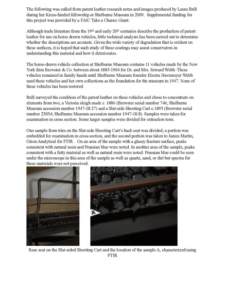 File:Summary of 2009 patent leather project.pdf