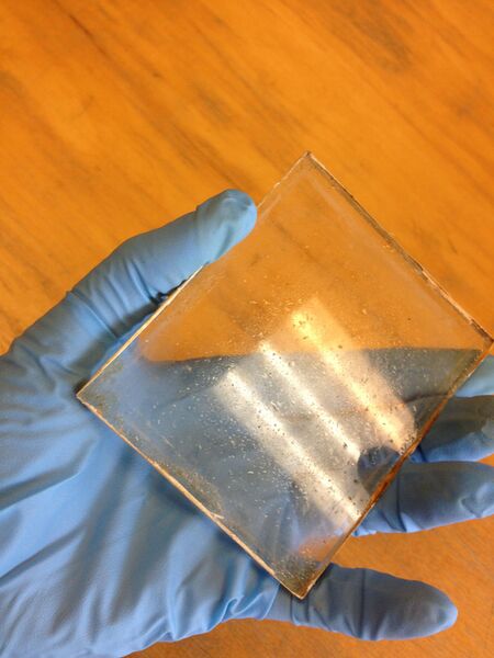 File:Weeping glass.JPG