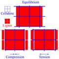 Thumbnail for version as of 21:24, 18 September 2012