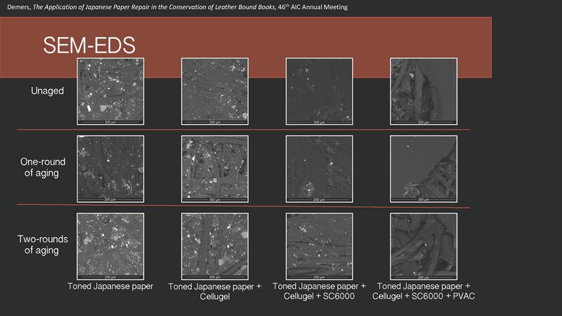 File:EDemers Samples-SEM.jpg
