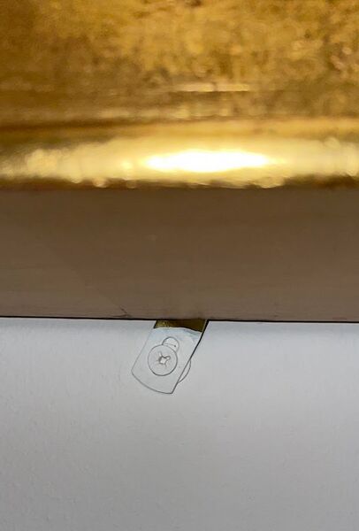 File:Security screw in action.jpg