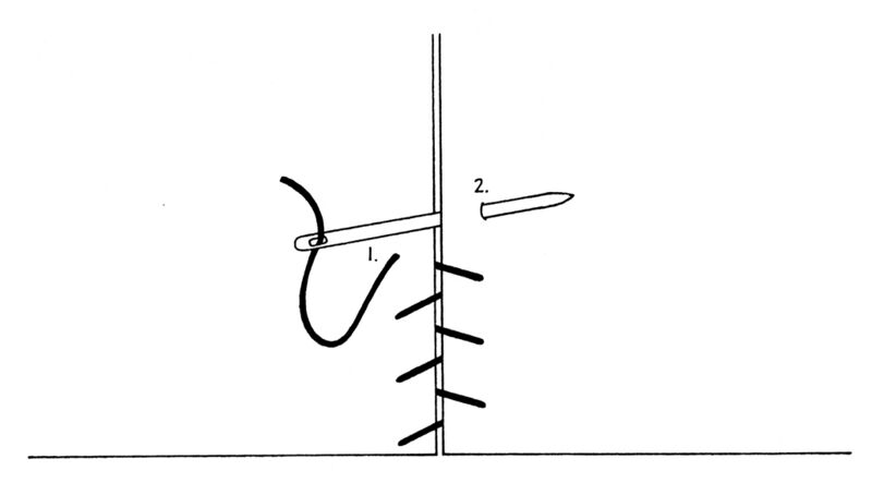 File:TSG-DHS-lacingstitch.jpg