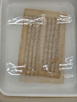 Iron gall ink manuscript in a calcium bicarbonate bath.