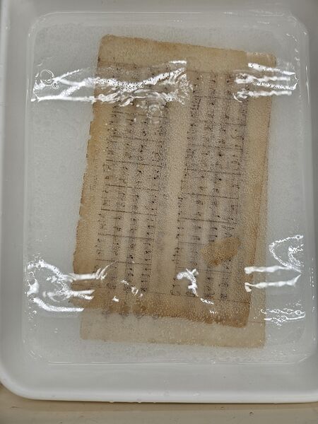 File:ObjectsInCaBiCarbBath.jpg