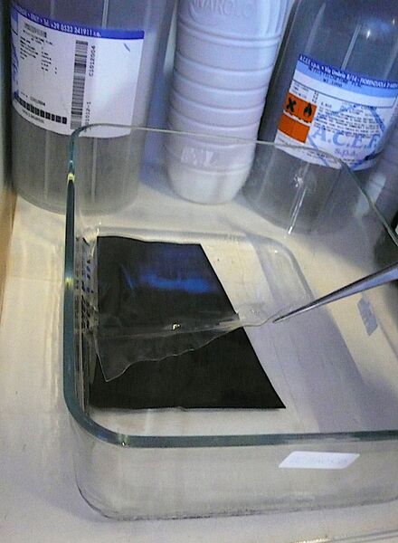File:Stripping of emulsion.jpg