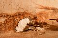 Thumbnail for version as of 16:51, 25 March 2014