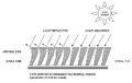 Thumbnail for version as of 02:25, 30 January 2013