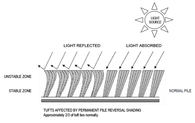 File:Pile Reversal diagram.png