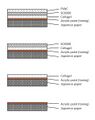 Thumbnail for version as of 20:36, 5 February 2019