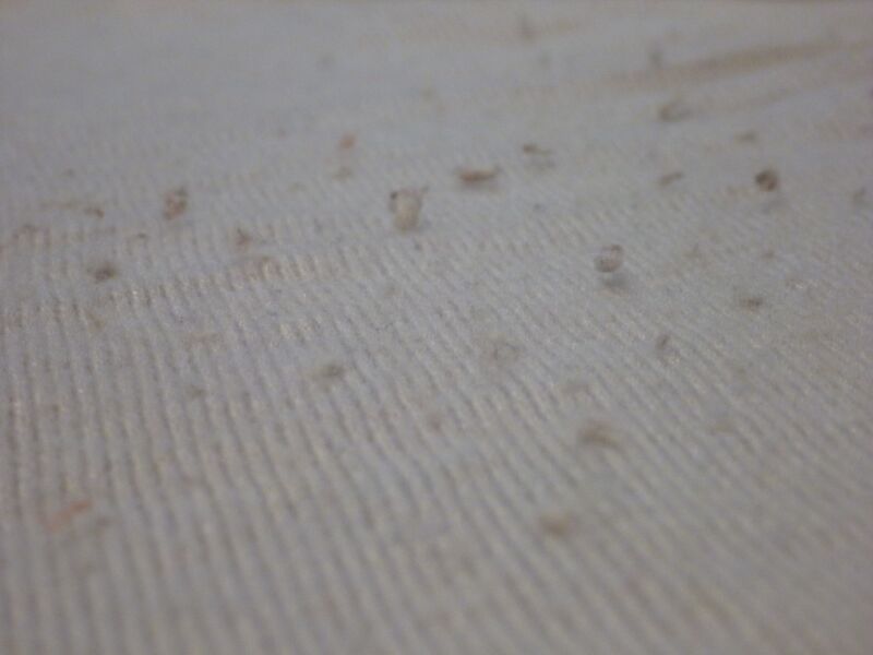 File:Pilling on a Sweater.jpeg