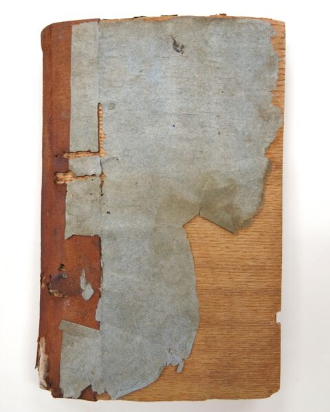 File:Scaleboard02.JPG