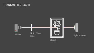 Illustration of a generic transmitted light imaging setup. Illustration: Camilla Perondi; painting icon: Fath Yusuf Iskhaqy CC-BY-3.0