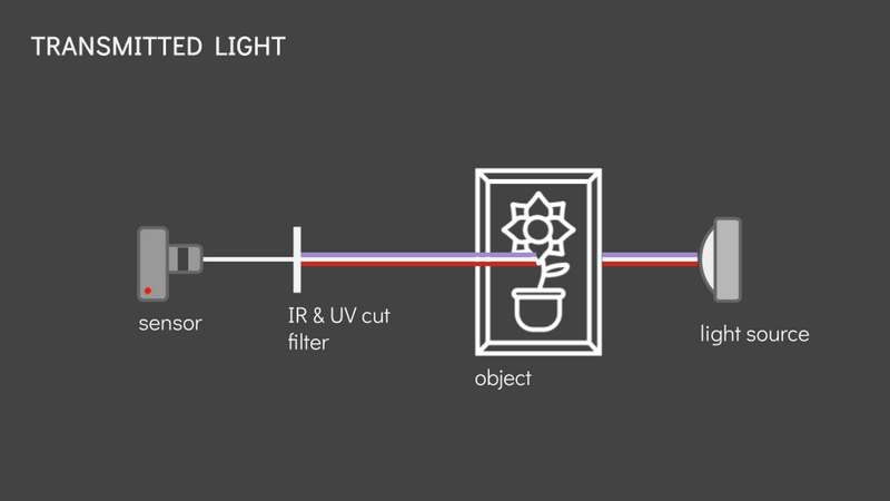 File:Imaging illustrations TRANSMITTED LIGHT.png
