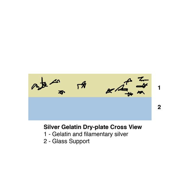 File:Genatindryplateneg.jpg